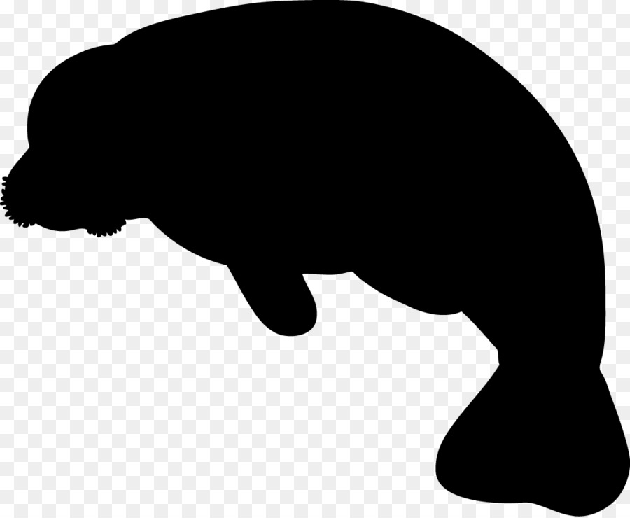 Sea Cows Indian Elephant Manatee Party Baby Manatee Clipart (900x740), Png Download