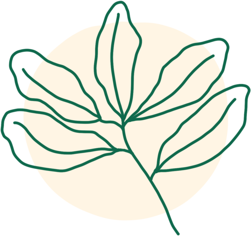 Live Oak Illustration Clipart (900x900), Png Download