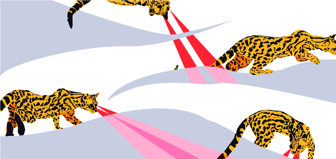 Long Search Big Cats Feline Ocelot Art Design Vector Clipart (1280x960), Png Download