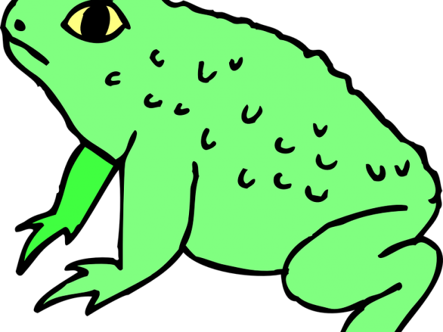 Green Frog Clipart Forg - Png Download (640x480), Png Download