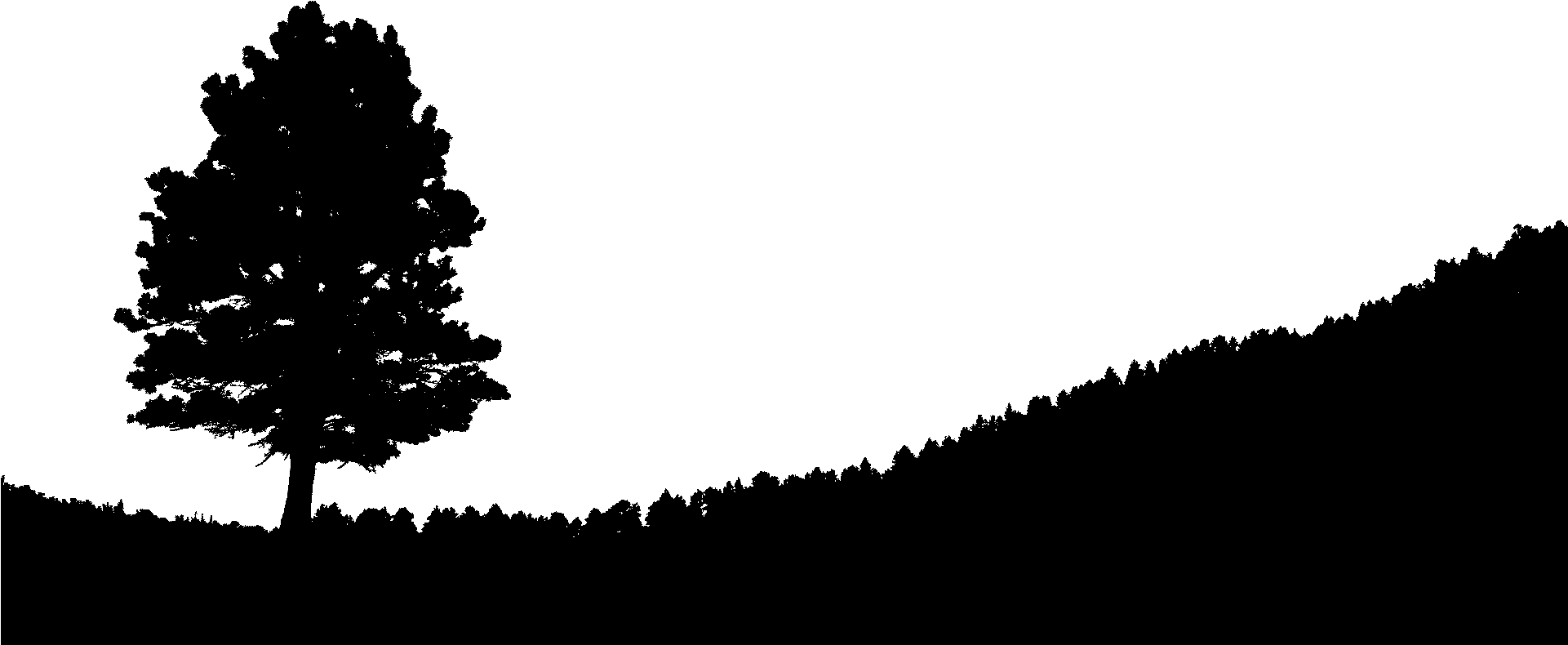 Hill Silhouette At Getdrawings Clipart (1920x1080), Png Download