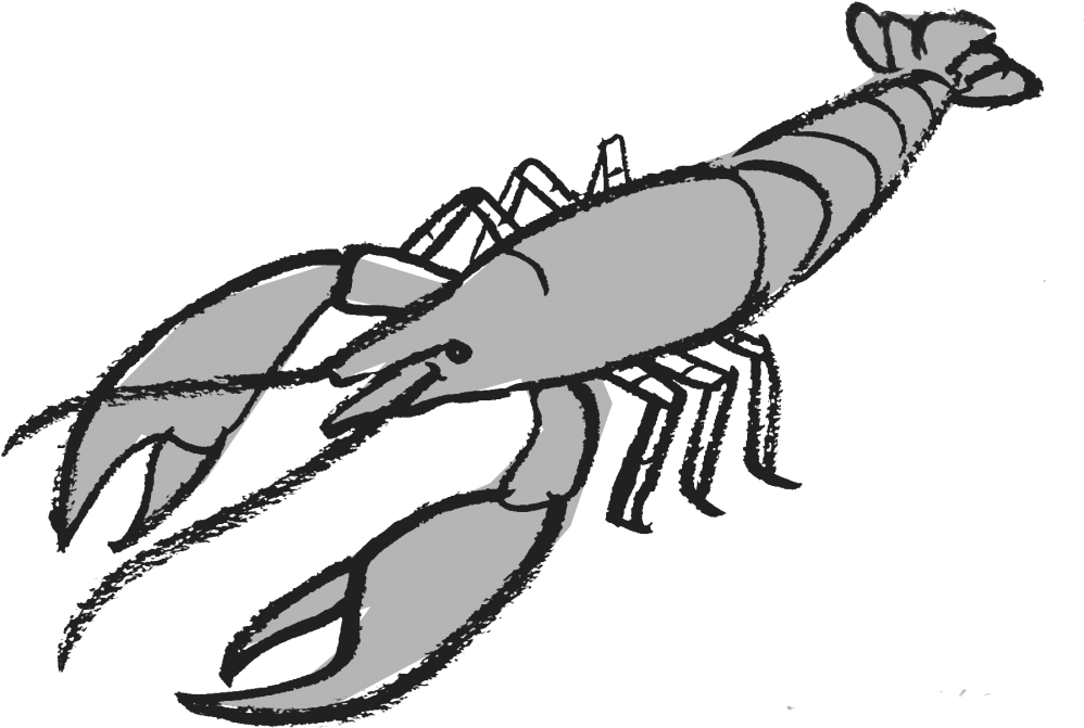 Enoc Escobar Watched Cormorants Glide Inches Above Clipart (1024x670), Png Download