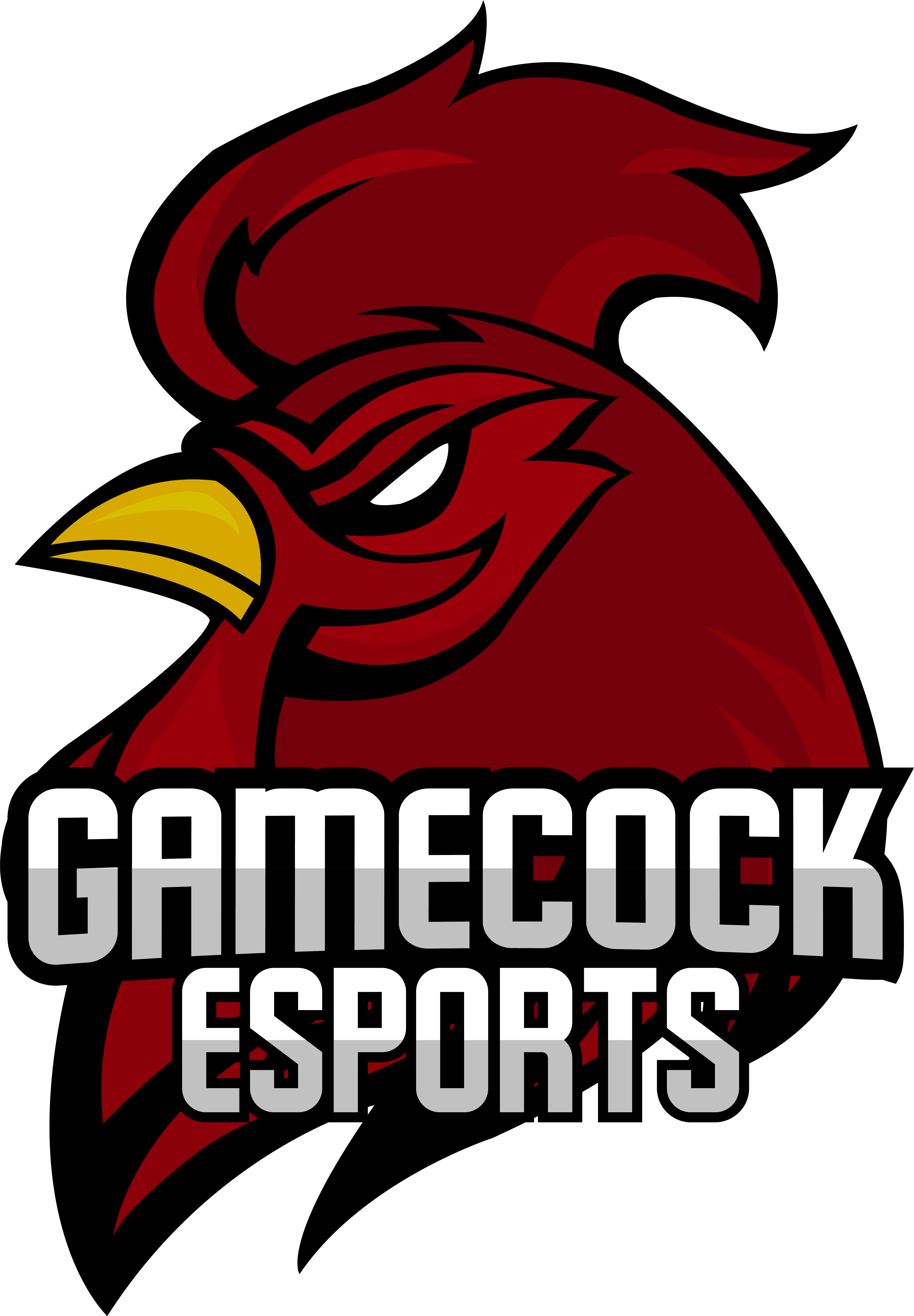 University Of South Carolina Clipart (5085x7318), Png Download