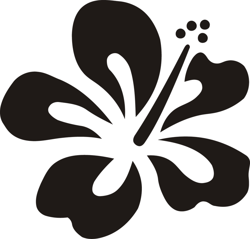 Plants And Flowers24 Clipart (800x764), Png Download