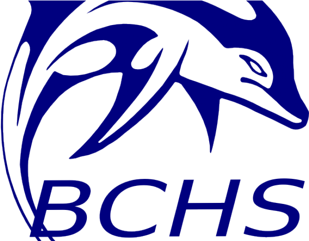 Dolphines Clipart Small Dolphin - Png Download (640x480), Png Download