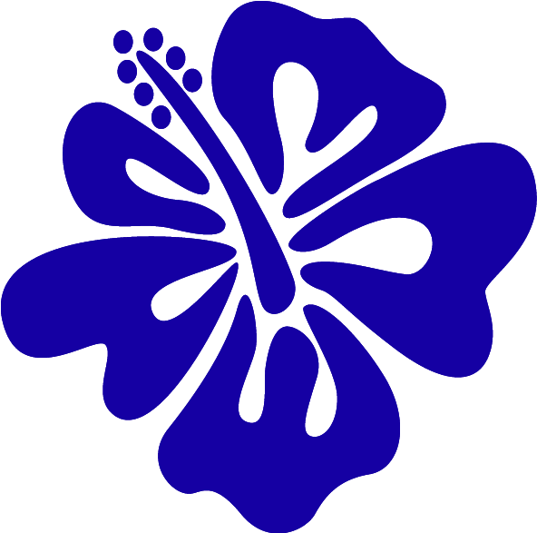 Hibiscus Flower Stickers Clipart (800x800), Png Download