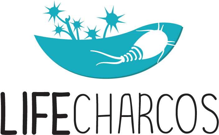 It Officially Started In July Clipart (742x499), Png Download