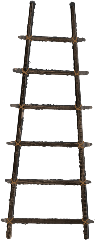 Ladder Transparent Images Png Clipart (774x1032), Png Download