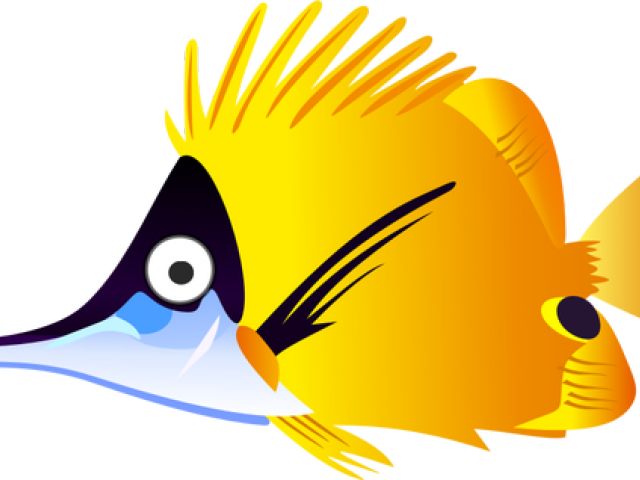 Tropical Fish Clipart Objects - Png Download (640x480), Png Download