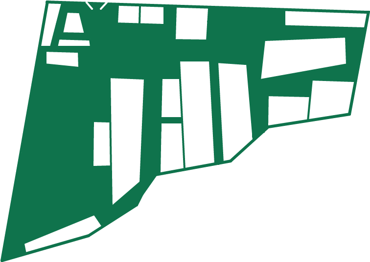 Whats On Clipart (800x600), Png Download