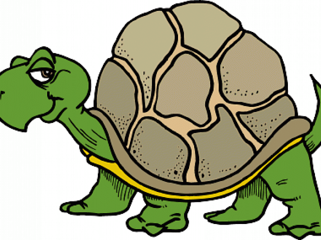 Slow Clipart Sick Turtle - Png Download (640x480), Png Download