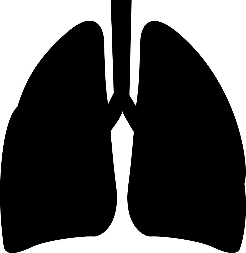 Lungs Dark Png Icon Clipart (954x980), Png Download
