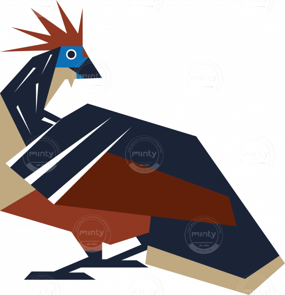 Feather Bird Hoatzin Clipart (580x600), Png Download