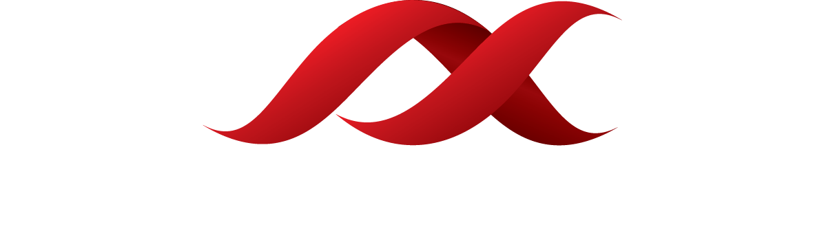 “hobo” Spider Social Fabric Productions Clipart (1199x336), Png Download