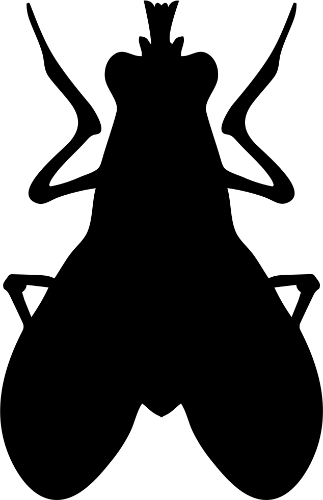 Blow Fly Insect Shape Comments Clipart (634x981), Png Download