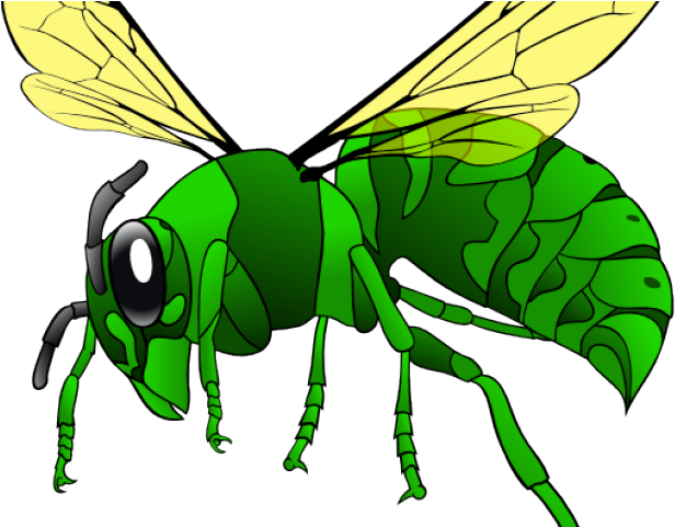 Hornet Clipart Sad - Png Download (640x480), Png Download