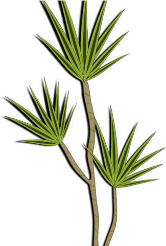 Desert Clipart Desert Bush - Png Download (640x480), Png Download