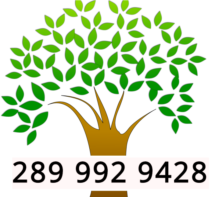 20% Off Tree Removal Clipart (705x648), Png Download