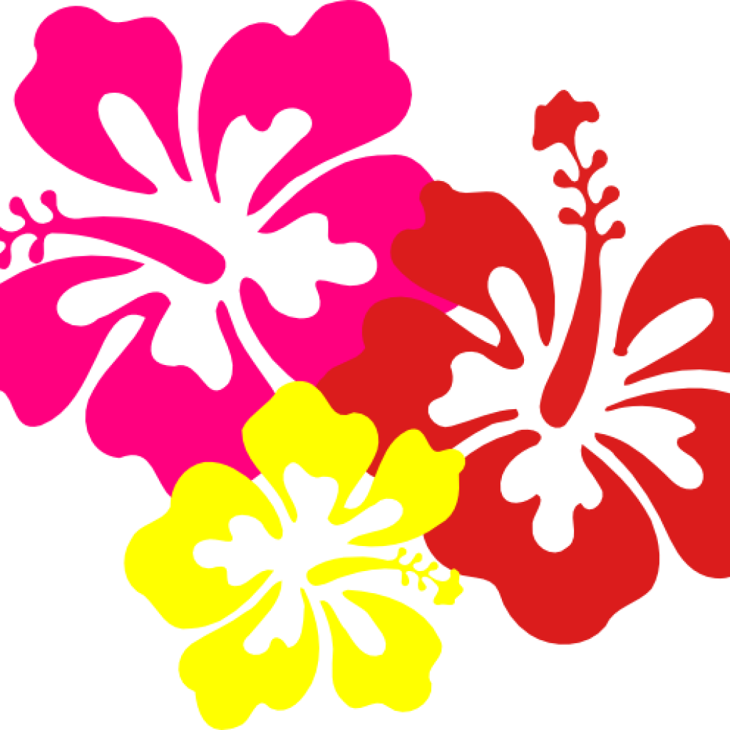 Hawaiian Border Clip Art Hawaiian Flower Clip Art Borders - Png Download (1024x1024), Png Download