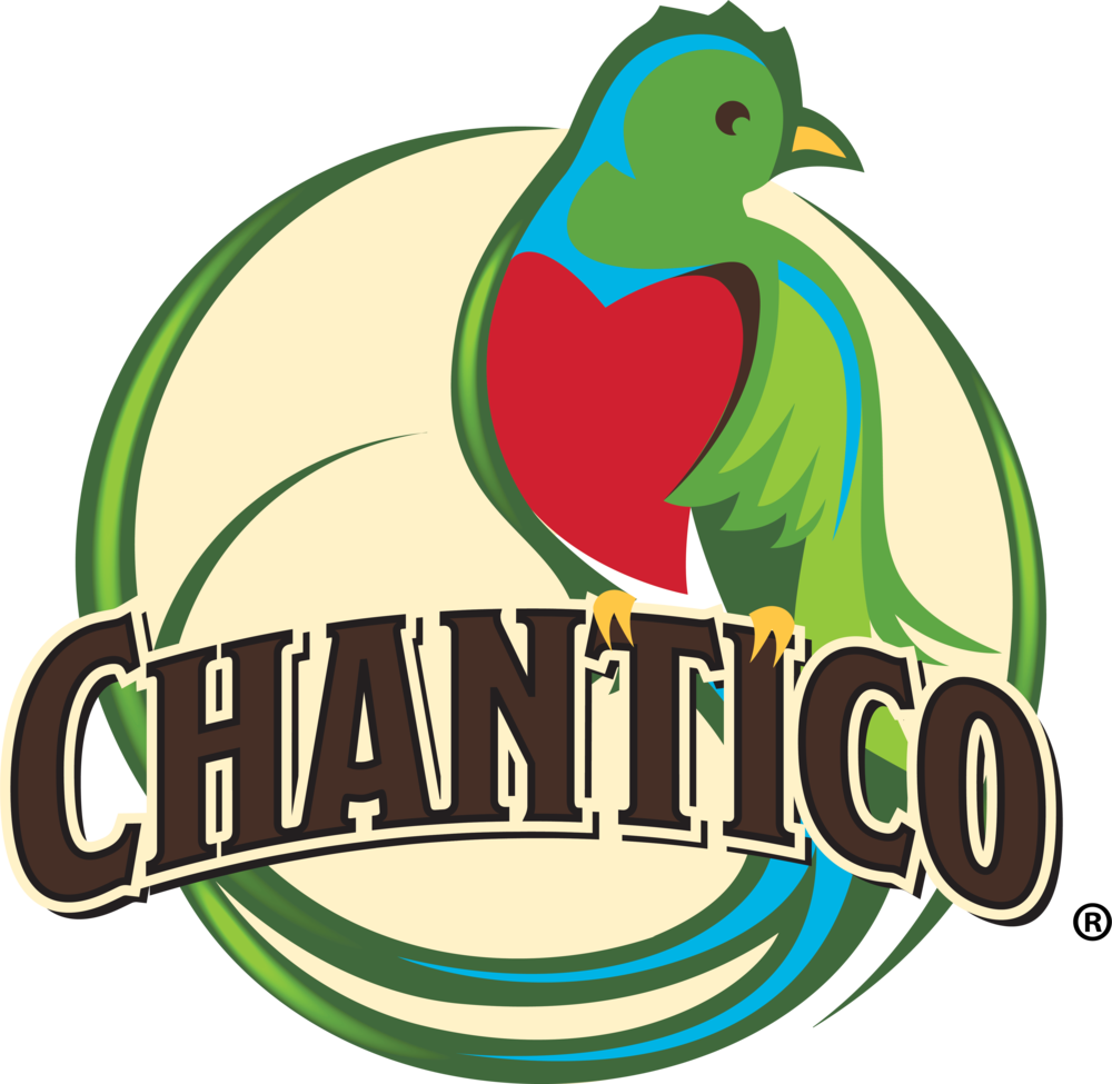 Banana Chocolate Muffins Clipart (1000x975), Png Download