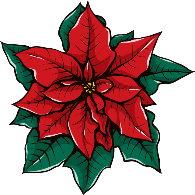 Pointsettas Are Gifted To Community Residents In Local Clipart (640x656), Png Download