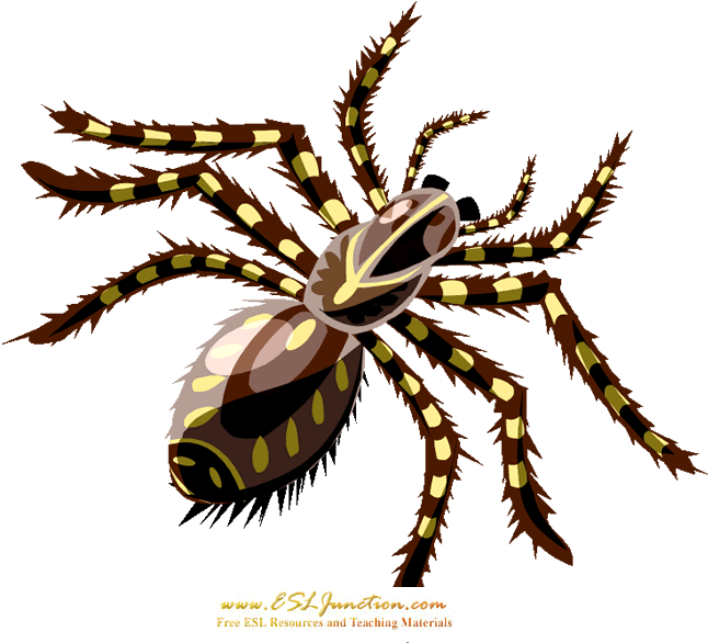 Spider Clipart (659x600), Png Download