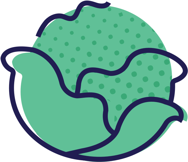 Your Baby Is The Size Of A Cabbage Clipart (1100x1100), Png Download