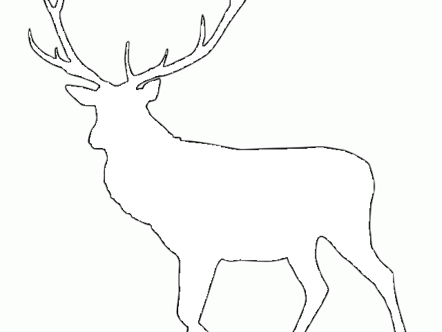 Outdoor Clipart Elk - Png Download (640x480), Png Download