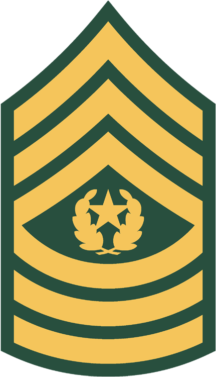 E 9 Csm Command Sergeant Major Clipart Full Size Clipart 2276285 