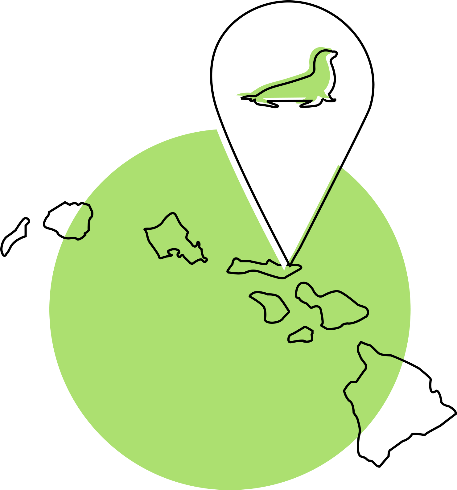 There Are Less Than 1,400 Hawaiian Monk Seals Left Clipart (1600x1600), Png Download