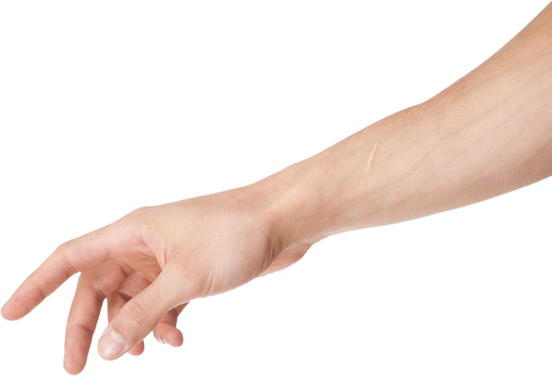 Arm Clipart - Png Download (800x545), Png Download