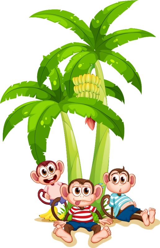 Insects, Tube, Clip Art, Birds, Animals, Image, Monkeys, - Png Download (516x800), Png Download