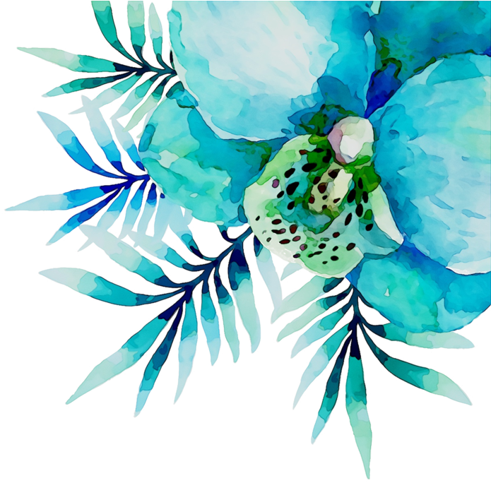 Petal Clipart Petal Floral Design Flower - Png Download (900x985), Png Download