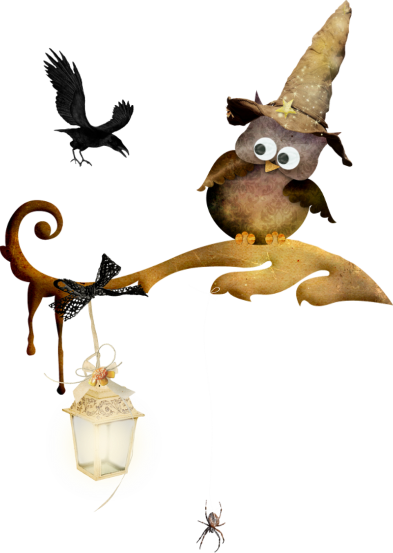 Owl Halloween - Hibou Halloween - Corbeau Noir - Araignée Clipart (800x1124), Png Download