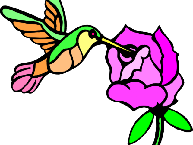 Hummingbird Clipart Hummingbird Flower - Png Download (640x480), Png Download