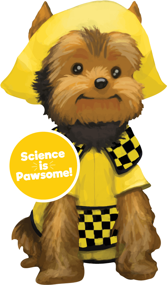 Schmitty The Weather Dog Book Clipart (600x1016), Png Download