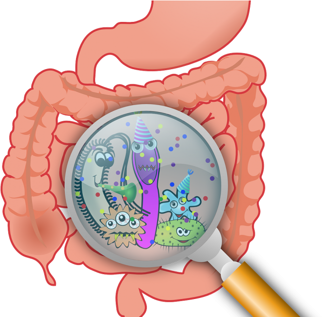 Nutrition Clipart Dietitian - Png Download (690x650), Png Download