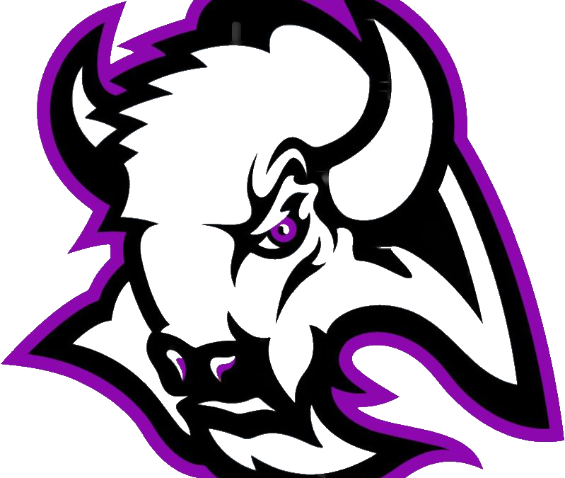 Mustang Clipart Jackson Olin - Png Download (799x675), Png Download