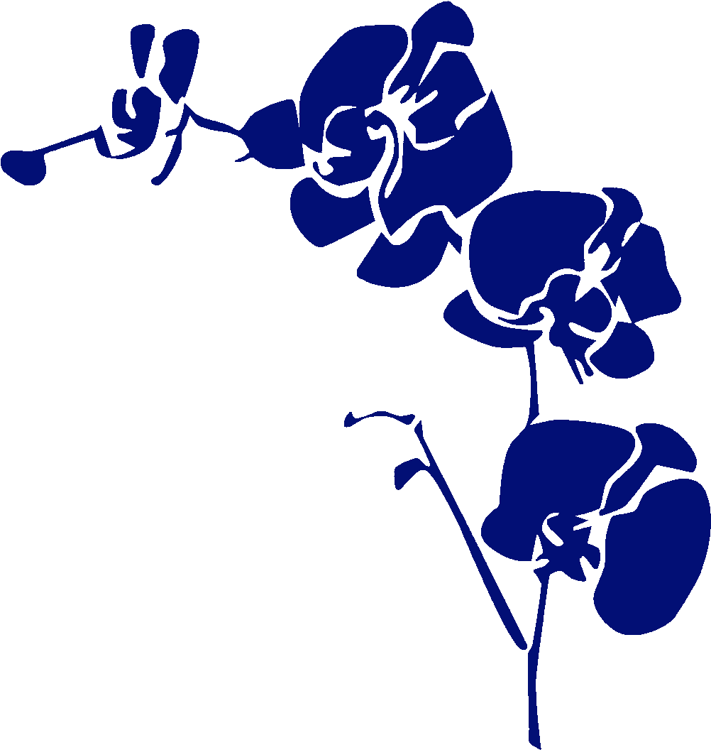 Northwest Orchids Clipart (1080x1080), Png Download