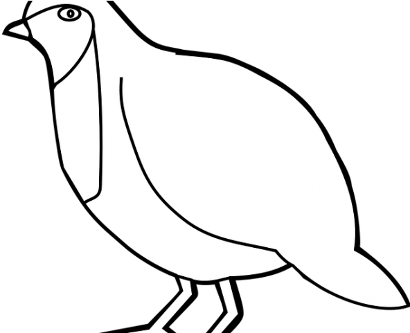 Blue Jay Clipart Burung - Png Download (640x480), Png Download