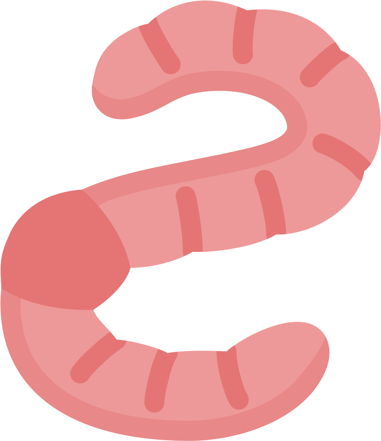 Worms Png Images Free Clipart (1600x1600), Png Download