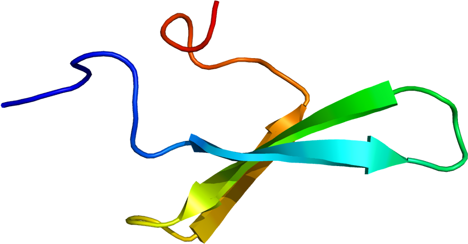 Transcription Clip Art - Png Download (1014x553), Png Download