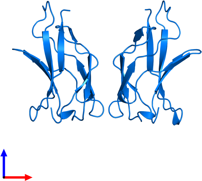 <div Class='caption-body'>pdb Entry 1bft Contains 2 Clipart (800x800), Png Download