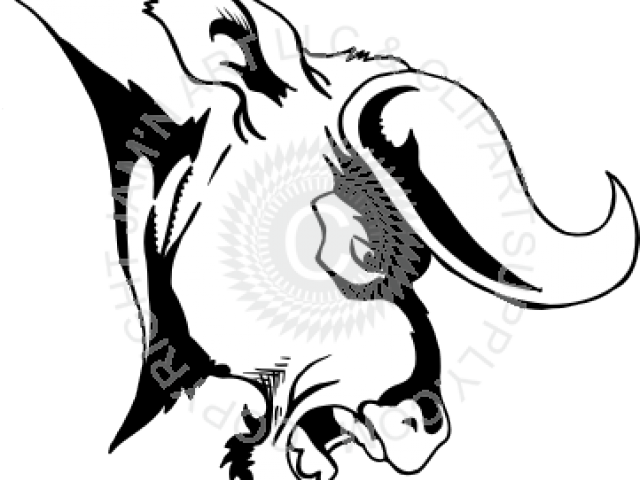 Drawn Bulls Bull's Head Clipart (640x480), Png Download