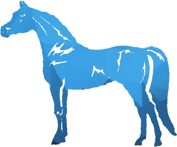Arabian Horse Decal Clipart Arabian Horse American - Png Download (900x900), Png Download