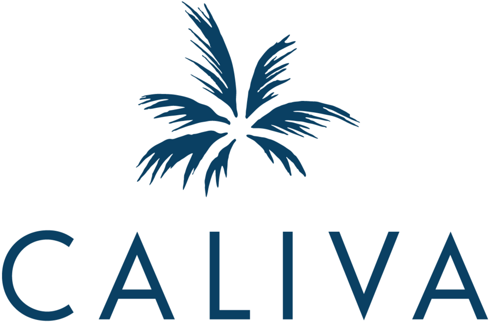 This Year 420 Is For Everyone Clipart (1000x657), Png Download