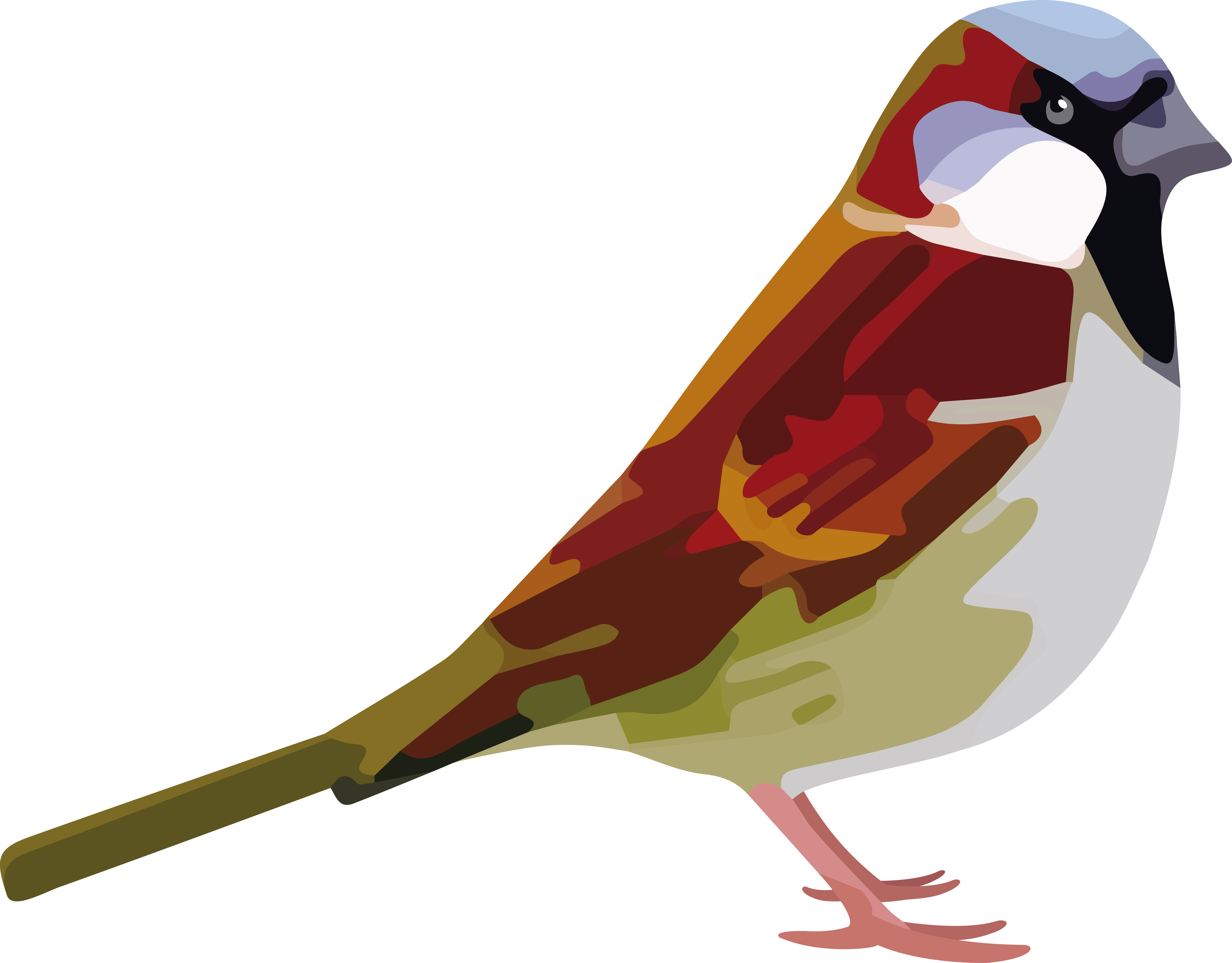 Sparrow Quantum Blegdamsvej 17 2100 Cph Denmark Phone Clipart (5906x4616), Png Download