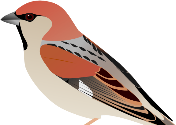 There's More Where That Came From Clipart (800x420), Png Download