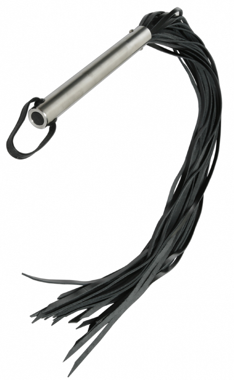 Whip Png File Clipart (474x768), Png Download
