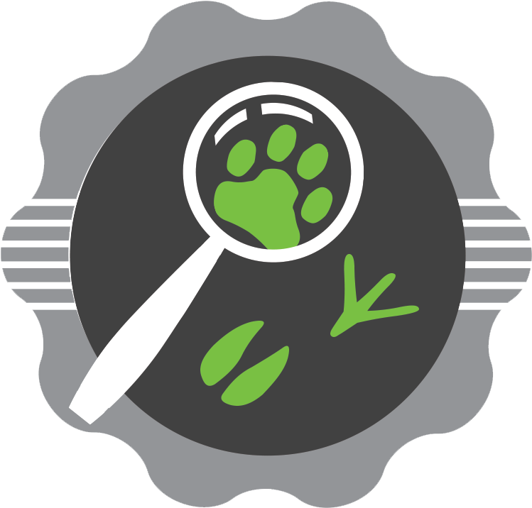 Investigations & Rescue Clipart (900x900), Png Download